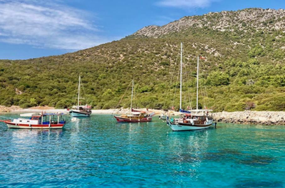 Muğla Bodrum Tekne Turu