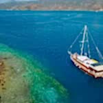 Bodrum Turgutreis Tekne Turları