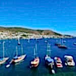 Turgutreis Tekne Kiralama