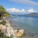 Bodrum Torba Tekne Turu