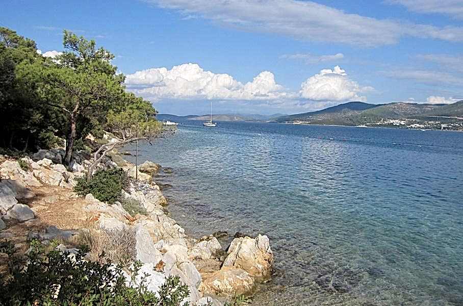 Bodrum Torba Tekne Turu